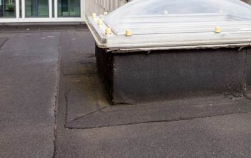 disadvantages of Parciau flat roofs