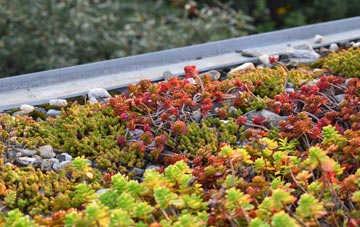 the cost of Parciau green roof installation