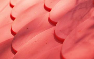 Parciau plastic roof costs