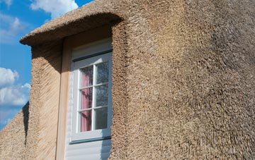 Parciau thatch roof disadvantages
