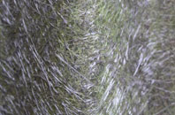 Parciau fibreglass roof work